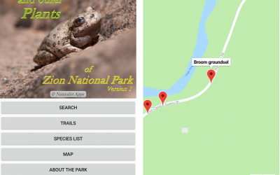 Wildflowers Android App Is Live