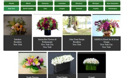 Business Listing WordPress Plugin Updated
