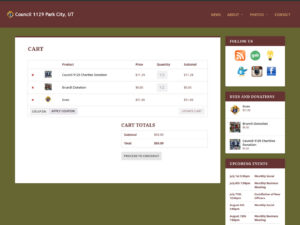 Ecommerce Cart Page Screenshot