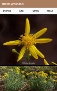 Species Photos Screen